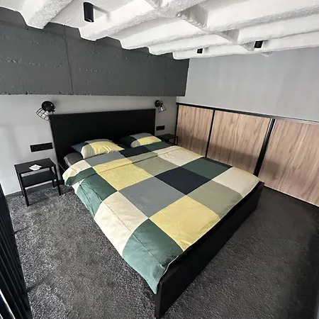 Radiocity Loft In The Heart Of Apartment Kaunas